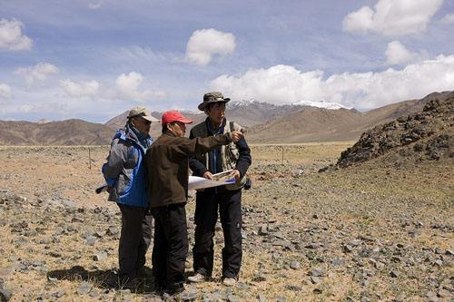 �y(c��)�L����