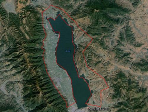 �y�L����