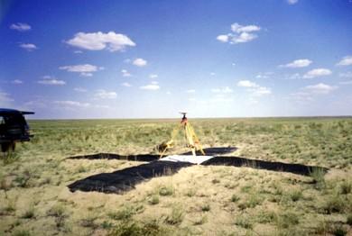 �y(c��)�L����