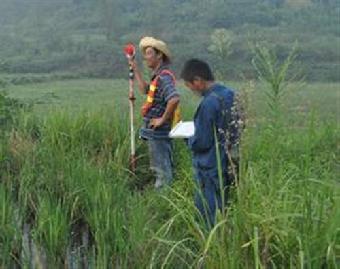 �y(c��)�L����