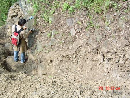 �V�ݵ�����Ϣ