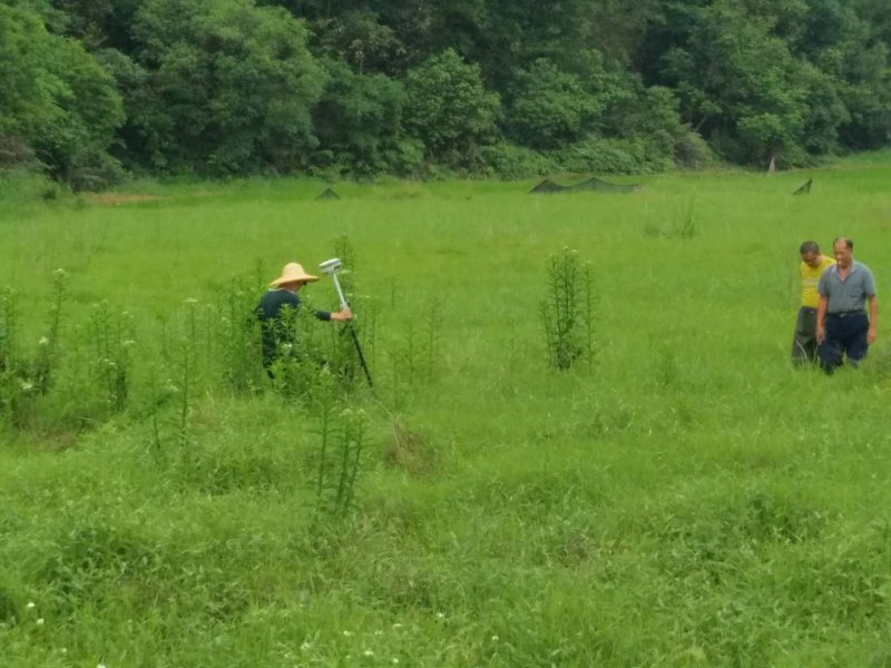 ������Ϣ