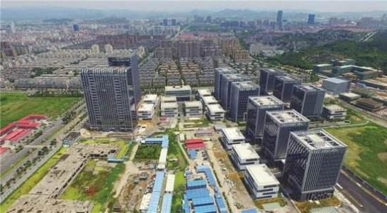 �y�L����